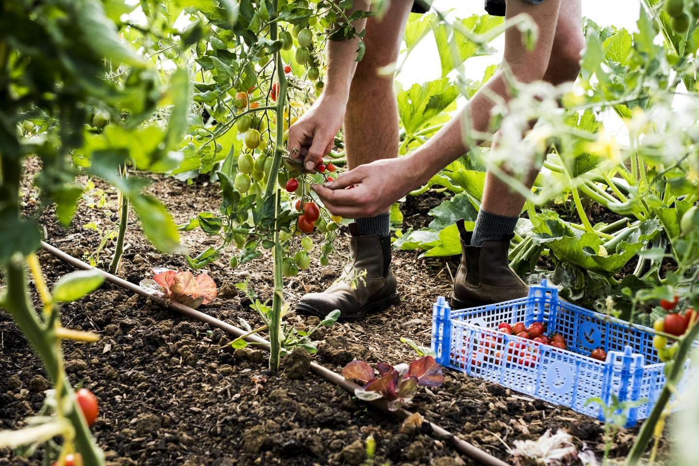 riciclo plastica in agricoltura 1 ok