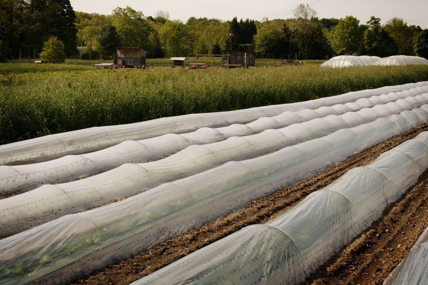 riciclo plastica in agricoltura 2 ok